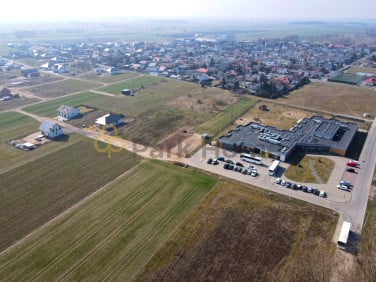 Działka inna Święciechowa