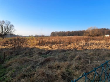 Działka Bełchatów