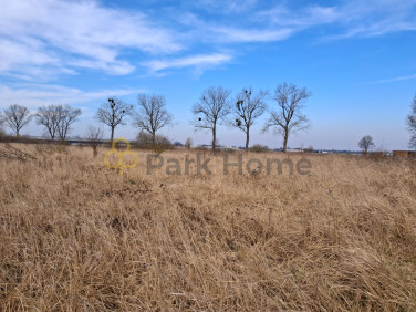 Działka Bełchatów