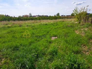 Działka Jerka