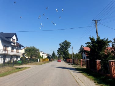 Działka budowlana Wiązowna Kościelna