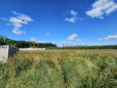 Działka inna Bonikowo