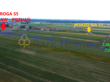 Działka Święciechowa