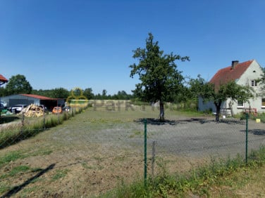 Działka budowlana Dębno sprzedam