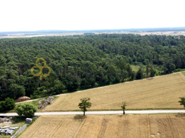 Działka budowlana Srocko Małe sprzedam