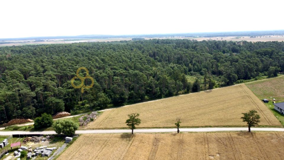 Działka budowlana Srocko Małe sprzedam