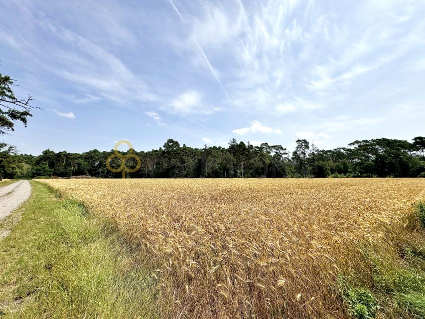 Działka Srocko Małe