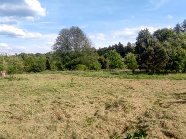 Działka Zielona Góra