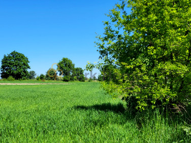 Działka inna Darnowo