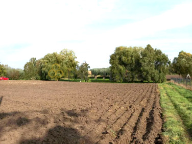 Działka Nochowo
