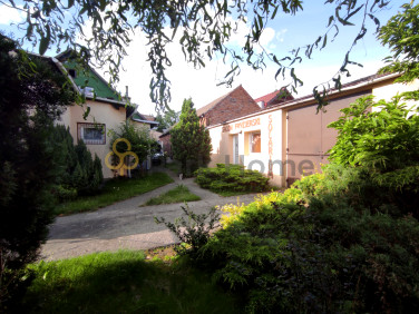 Lokal Dolsk