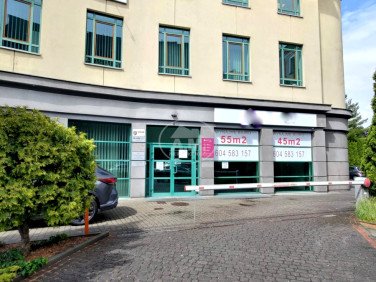 Lokal Opole