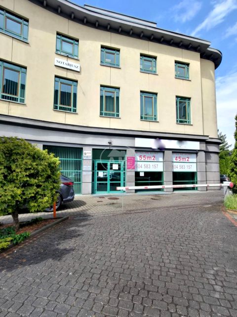 Lokal Opole