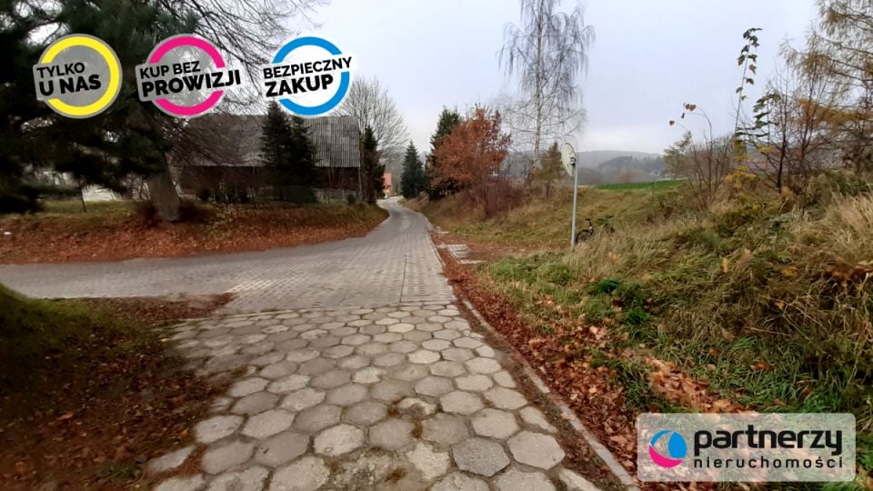 Zdjęcie 2