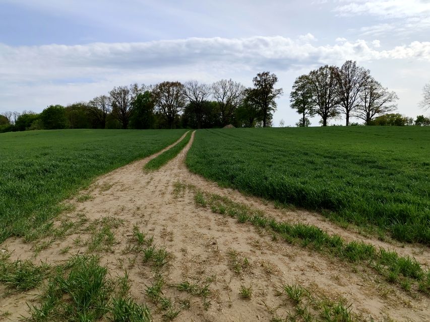 Działka budowlana sprzedam