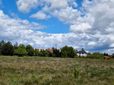 Działka rolna Bielsk Podlaski