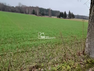 Pusta działka Patoki