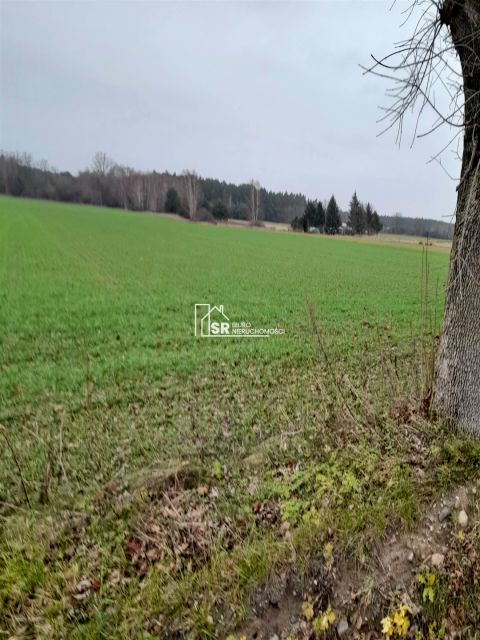 Pusta działka Patoki