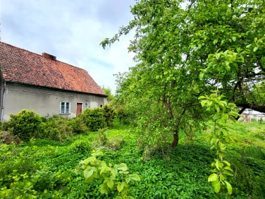Działka siedliskowa Elbląg