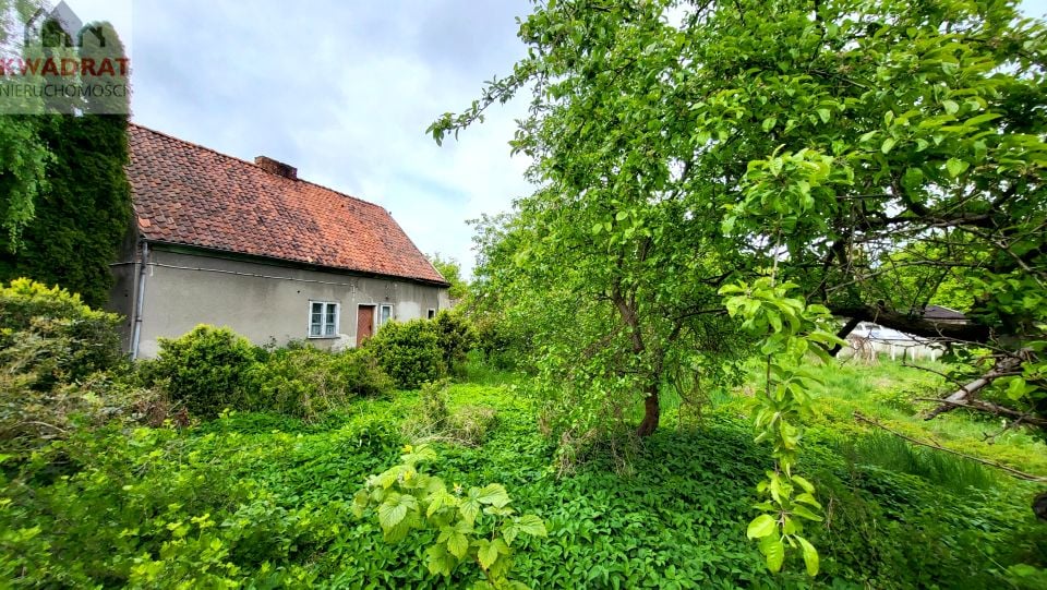 Działka siedliskowa Elbląg