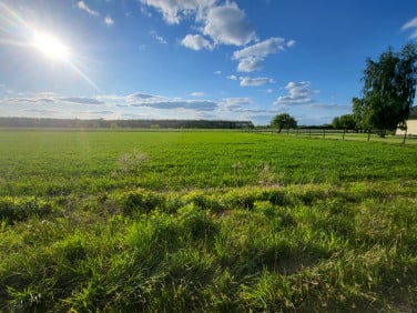 Działka budowlana Korytów