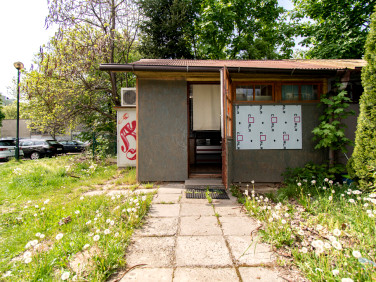 Lokal Kraków
