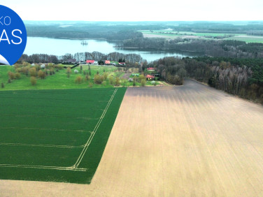Działka Ławica