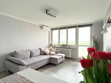 Mieszkanie Katowice