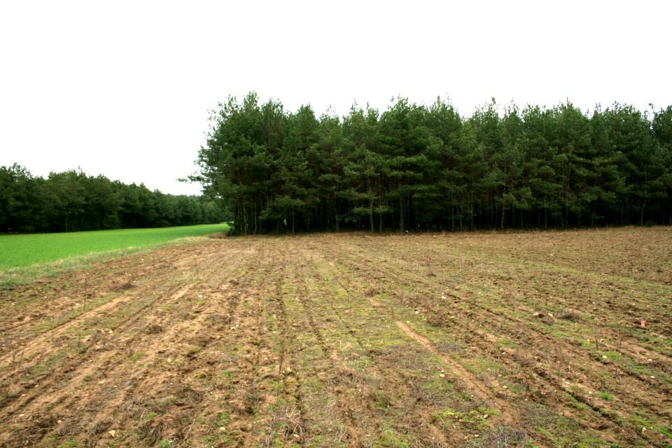Działka budowlana Lipa