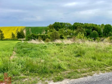 Działka budowlana Młodziejowice