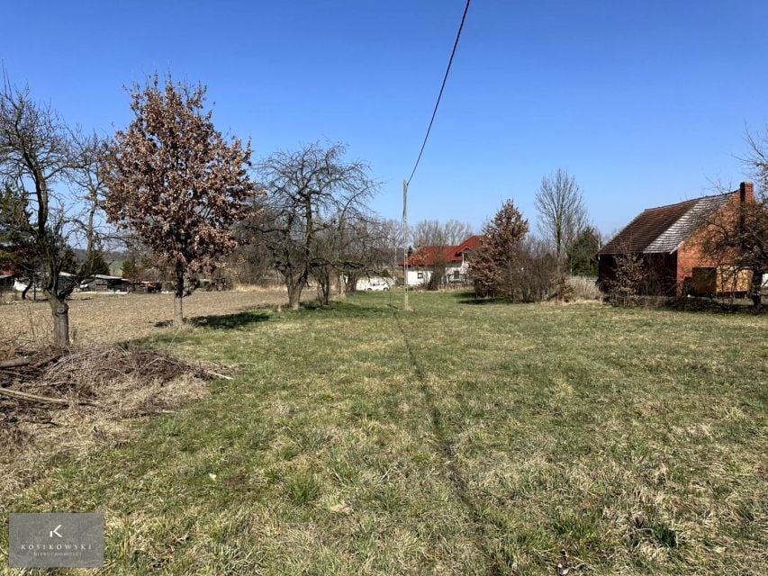 Zdjęcie 3