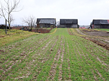 Działka siedliskowa Zdziłowice Czwarte