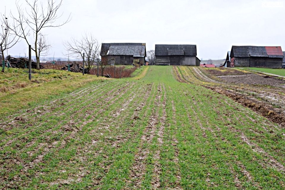 Działka siedliskowa Zdziłowice Czwarte