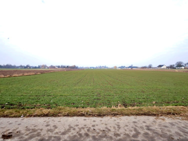 Działka usługowa Świdnik Duży