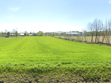 Działka budowlana Juliopol