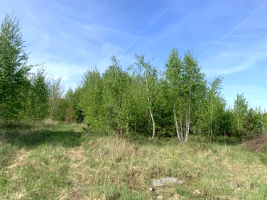 Działka budowlana Rogów