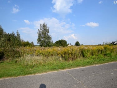 Działka budowlana Dys