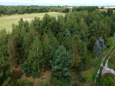 Działka rolna Kanie-Stacja