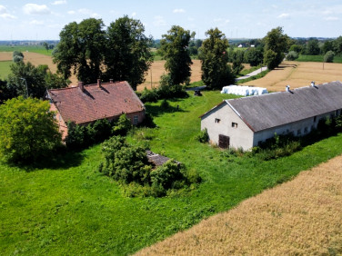 Działka siedliskowa Brudzędy