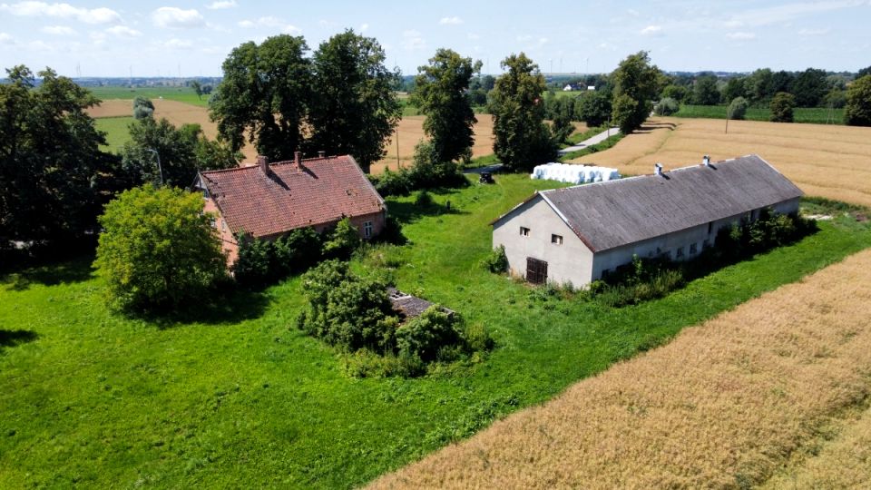 Działka siedliskowa Brudzędy