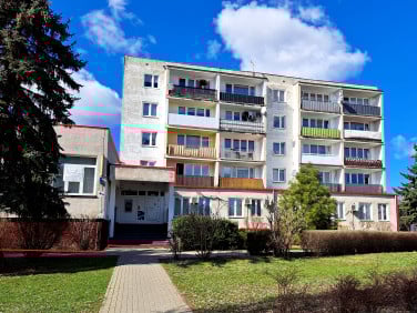Lokal Płońsk
