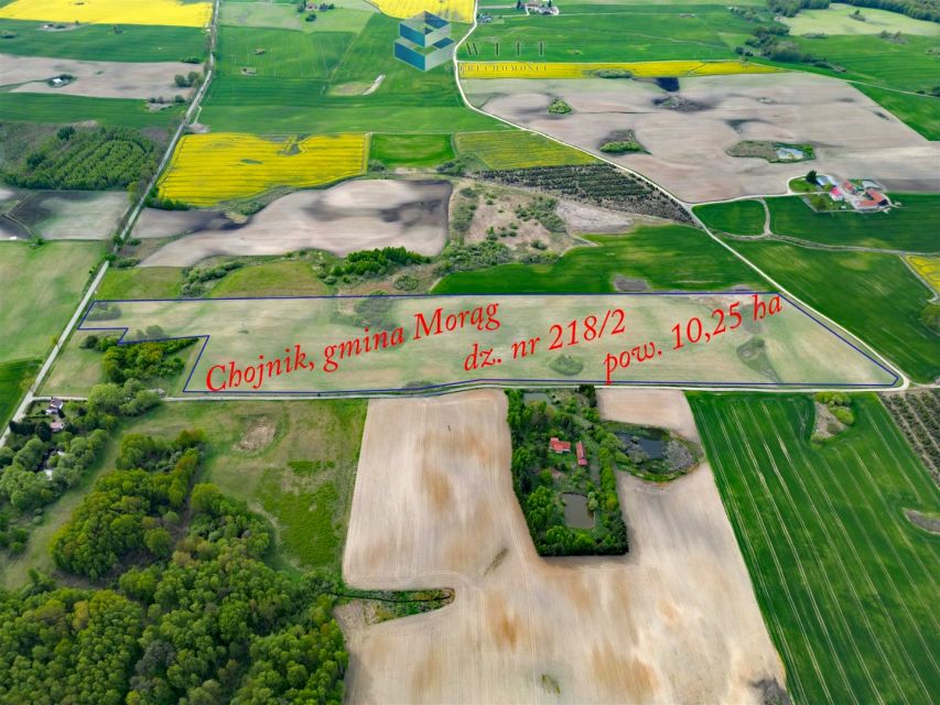 Działka Chojnik
