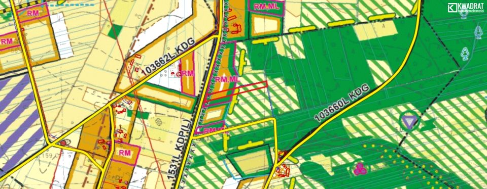 Działka rolna Czerwonka Poleśna