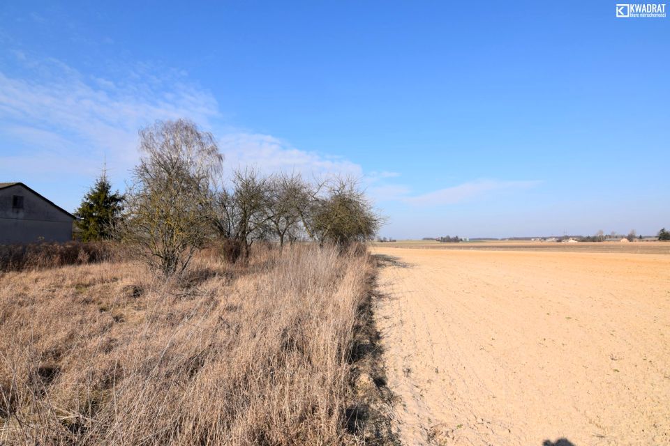 Działka siedliskowa Janowice