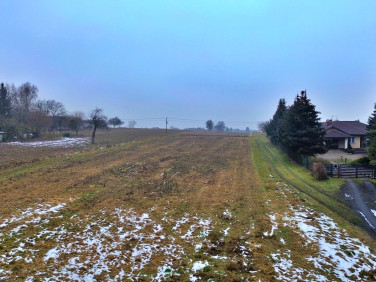 Działka budowlana Krasienin-Kolonia