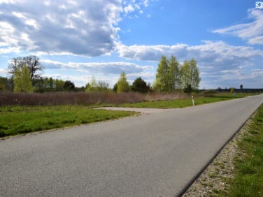 Działka budowlana Cezaryn