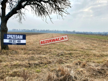 Działka budowlana Kozłówka