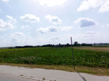 Działka budowlana Czołki