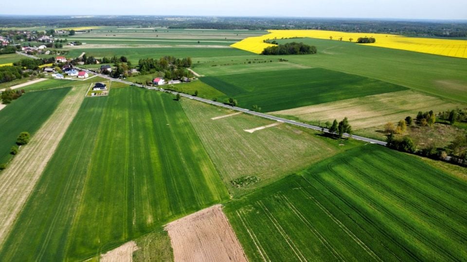 Działka Kłobukowice