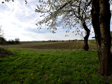 Działka budowlano-rolna Łubki-Kolonia